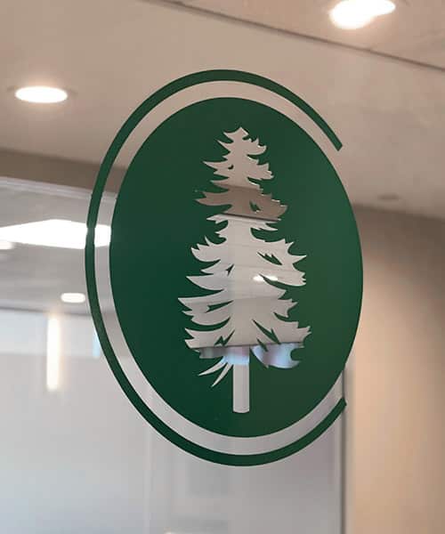 Conifer Insurance Office